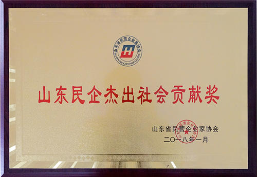 Shandong Outstanding Construction Prize of Private Enterprises