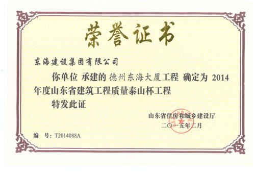 Taishan Cup Certificate