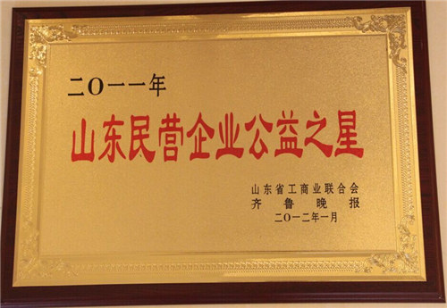 Public Service Star of Shandong Private Enterprises 
