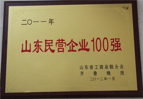 Top 100 Shandong Province Private Enterprises