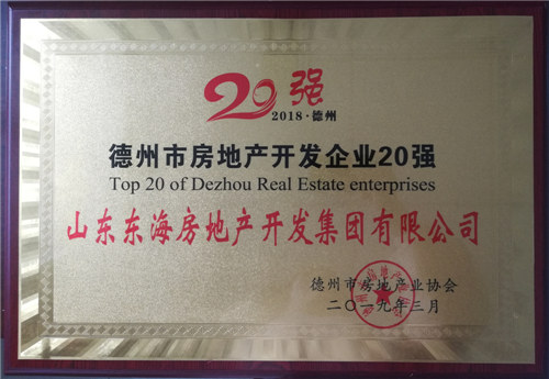 Best 20 Real Estate Developers in Dezhou 