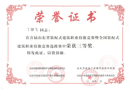 Ding Jifei’s personal honors