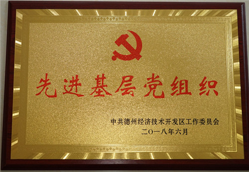 The Party Committee of the Group was awarded the honorary title of “Advanced Grassroots Party Organization”