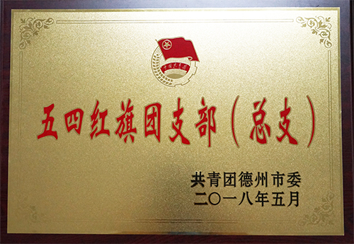 Donghai Group was awarded the honorary title of Dezhou May 4th Red Flag Youth League branch